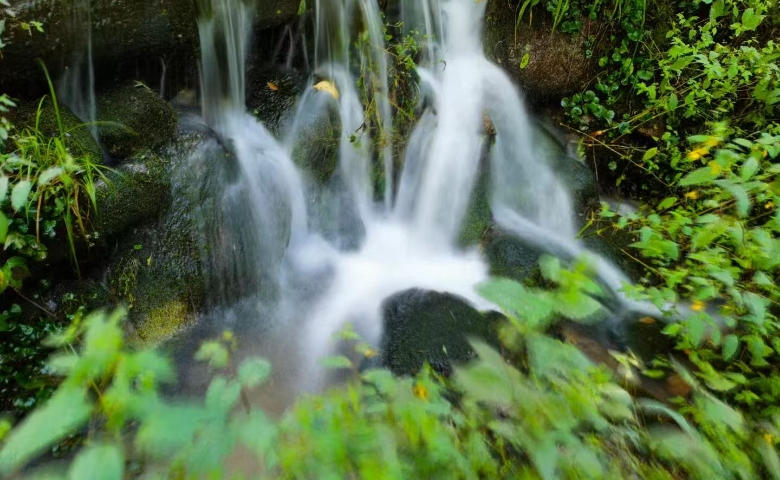 金顶山之歌