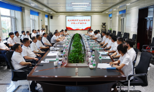 孙佳川在青年人才座谈会上强...